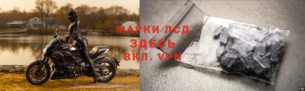 гидра Бронницы
