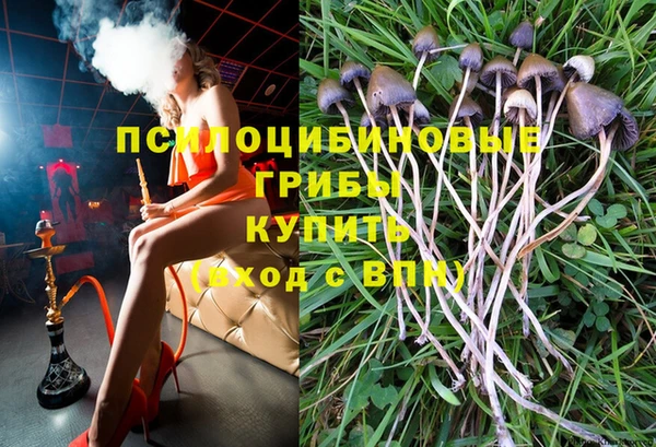 гидра Бронницы