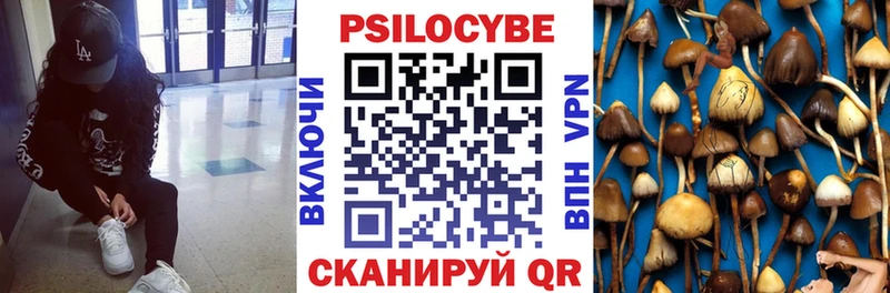 закладка  Будённовск  Псилоцибиновые грибы мухоморы 
