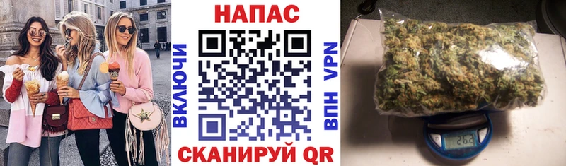 где купить наркотик  Будённовск  MEGA маркетплейс  Каннабис ГИДРОПОН 